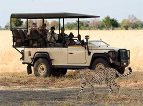 Safari met kinderen